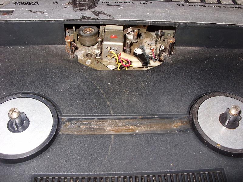 orsos magno inei-303 02.jpg